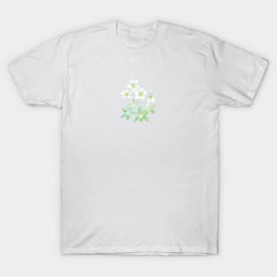 Christmas rose, Helleborus niger, winter-blooming Illustration T-Shirt